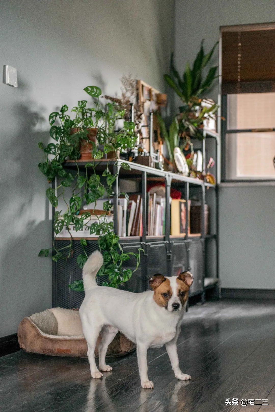 嗜好旧物的90后,用柔软的心构建家中岁月感