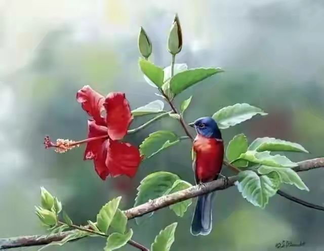 平面设计培训的内容！没有美术基础可以学习平面设计吗？