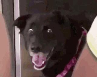 少林功夫搞笑视频老电影,少林功夫停车gif