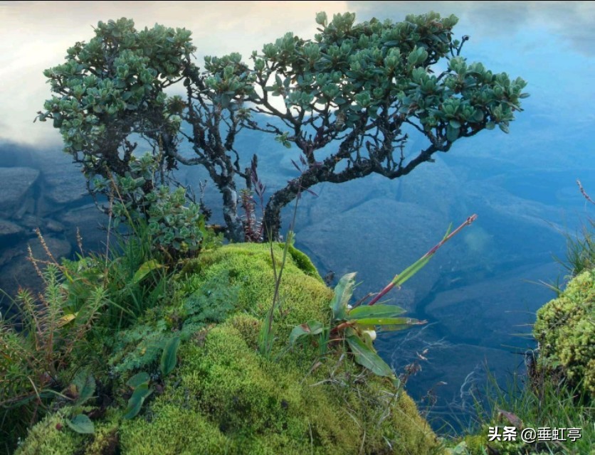 程颢《春日偶成》,七绝里星点体现“理学”之本!