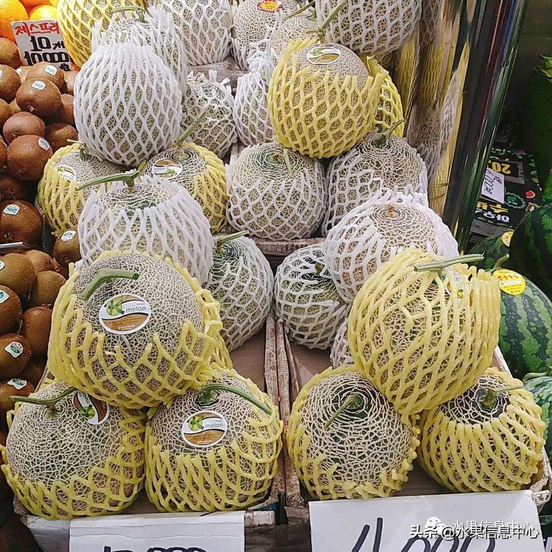 韩国水果批发市场进货渠道,韩国首尔最大的水果批发市场