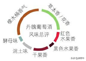 通过自己品鉴好喝的红酒,怎样品尝出红酒的年份