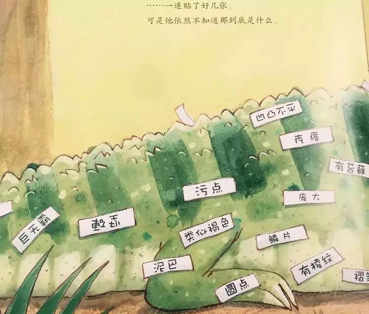 悦宝园主题课程推荐：鳄鱼｜AlligatorsandCrocs