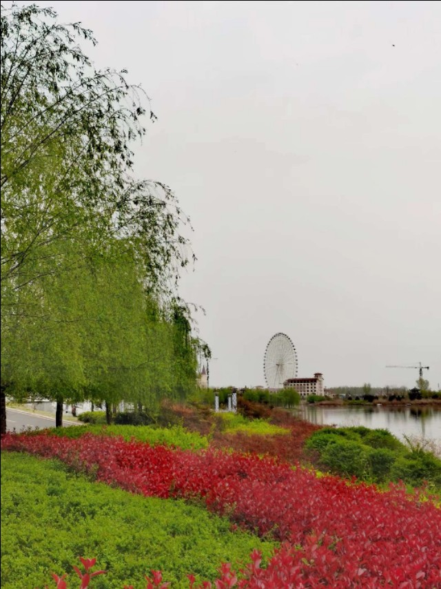 濞佹捣鑾辫尩灏忛晣,澶╂触鑾辫尩灏忛晣