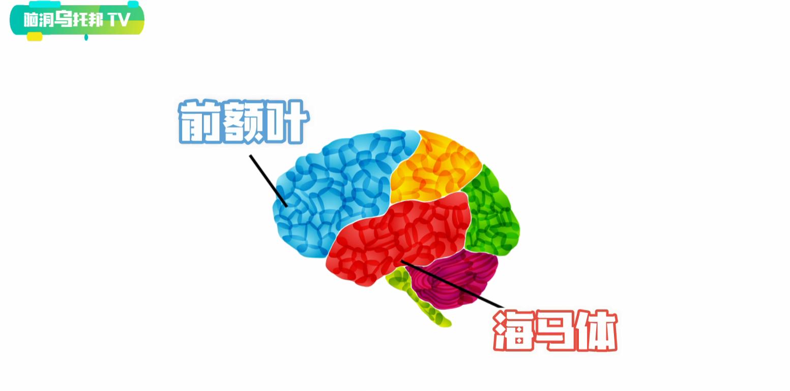 全球仅有71例的罕见疾病,罕见疾病能开启大脑潜能