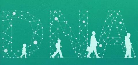 武汉新十条政策,武汉新政7项措施