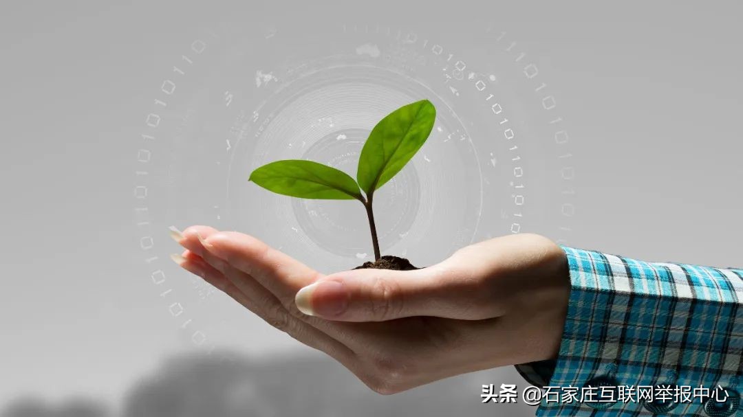 用人肉搜索来监督违法行为合适吗,人肉搜索属不属于违法行为