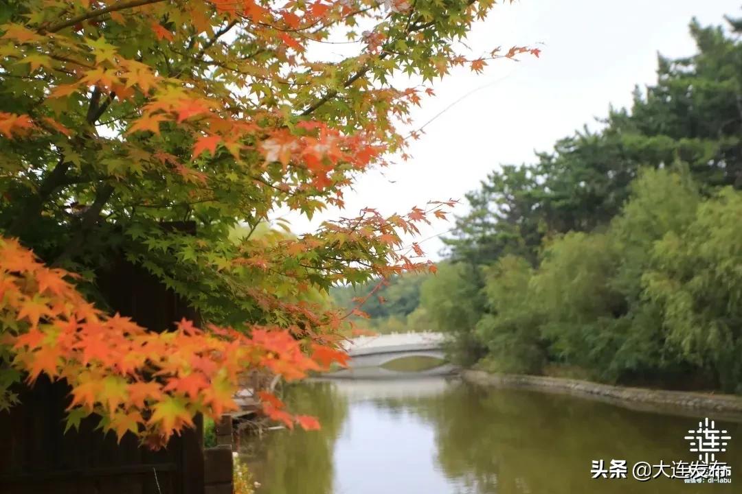 大连冬季室外泡温泉攻略,大连泡汤哪里好