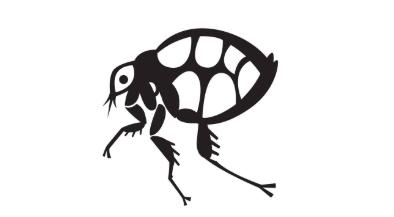 狗身上的跳蚤怎么消灭,被子上有跳蚤怎么消灭