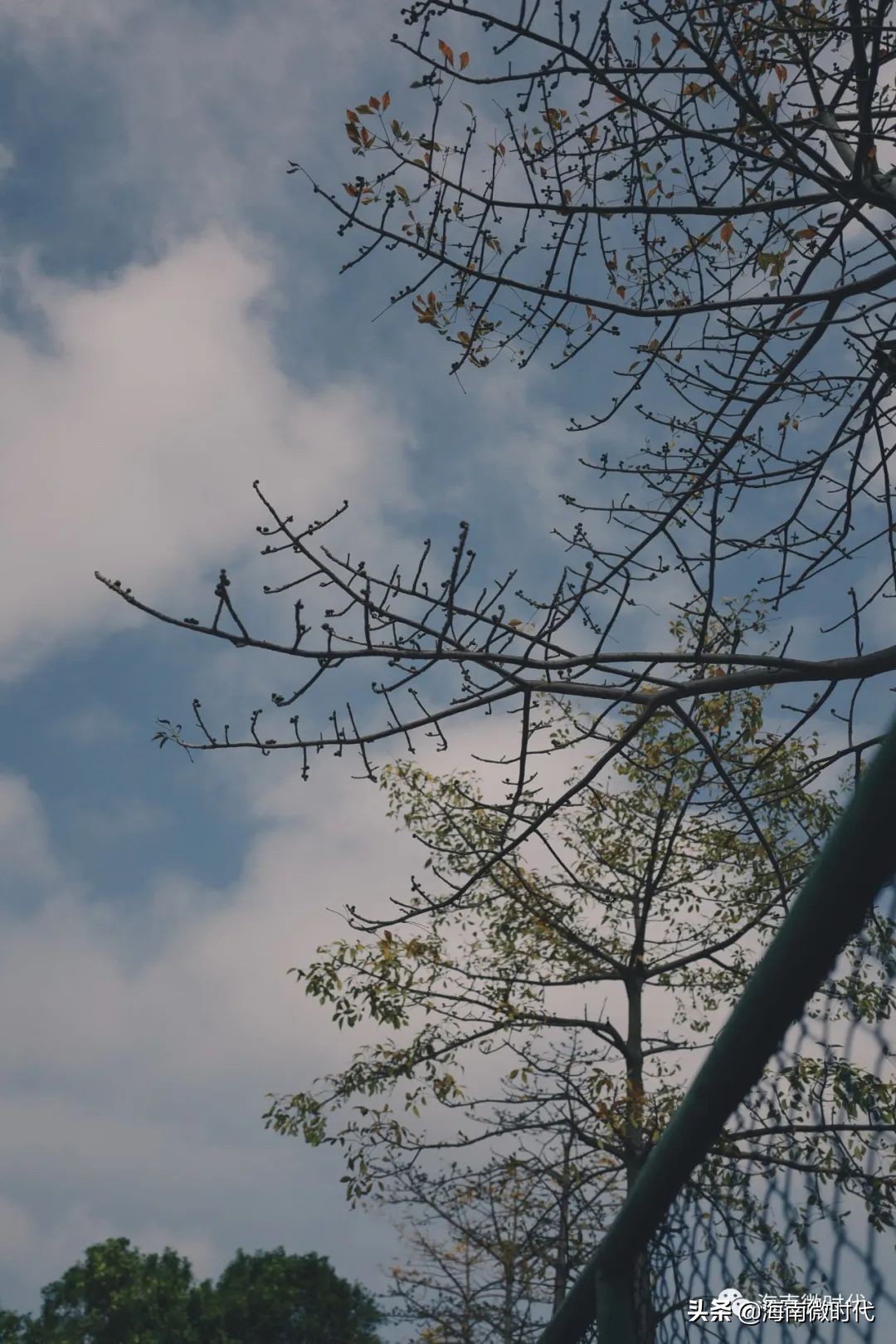 海南大学啥时候开学,海南大学研究生开学