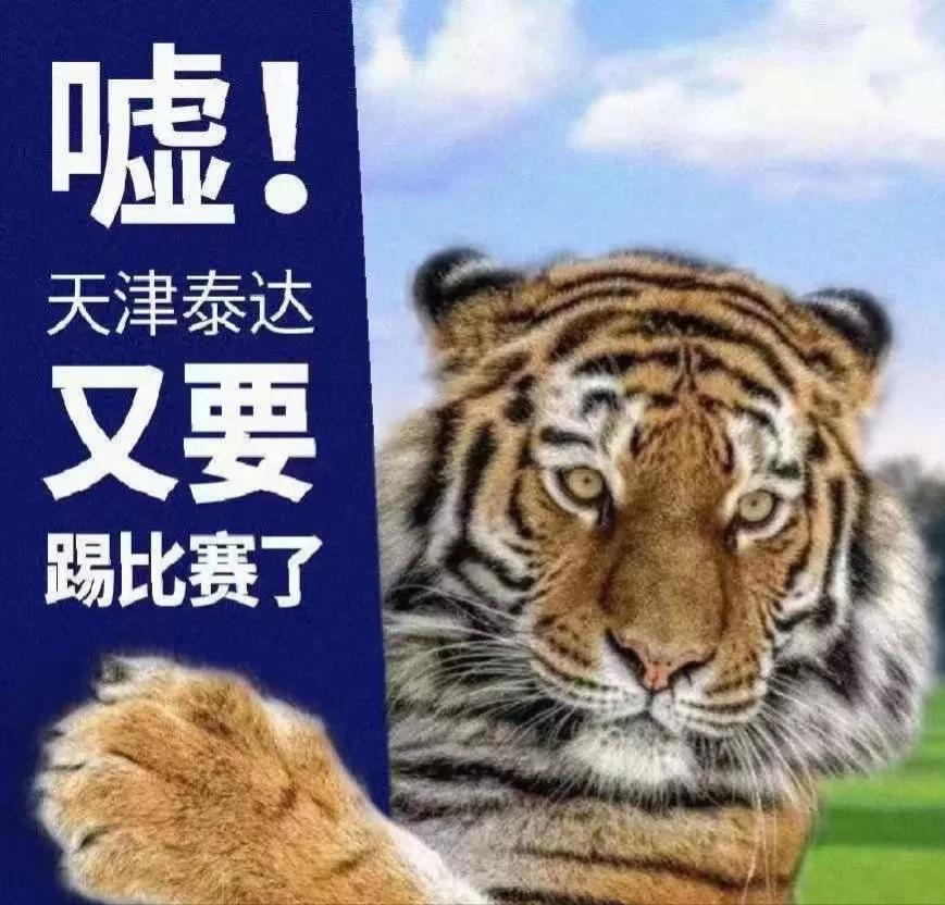 不死鸟天津泰达,天津不死鸟队