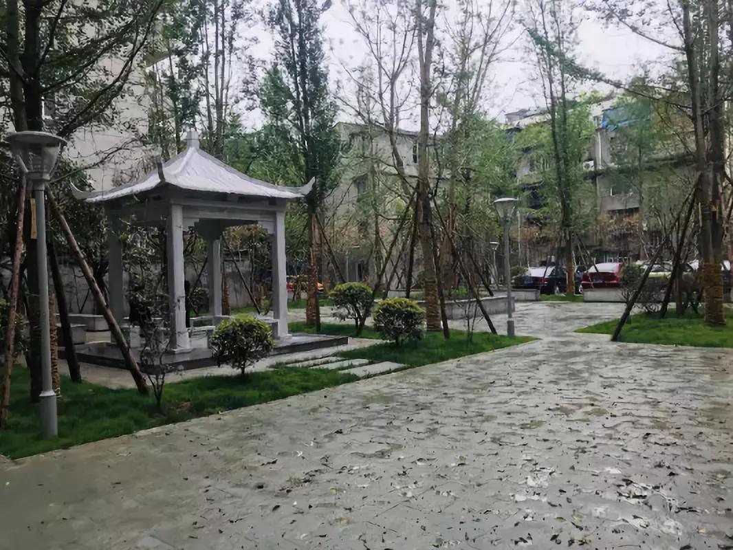 乐山即将打造的公园,今日视点四川