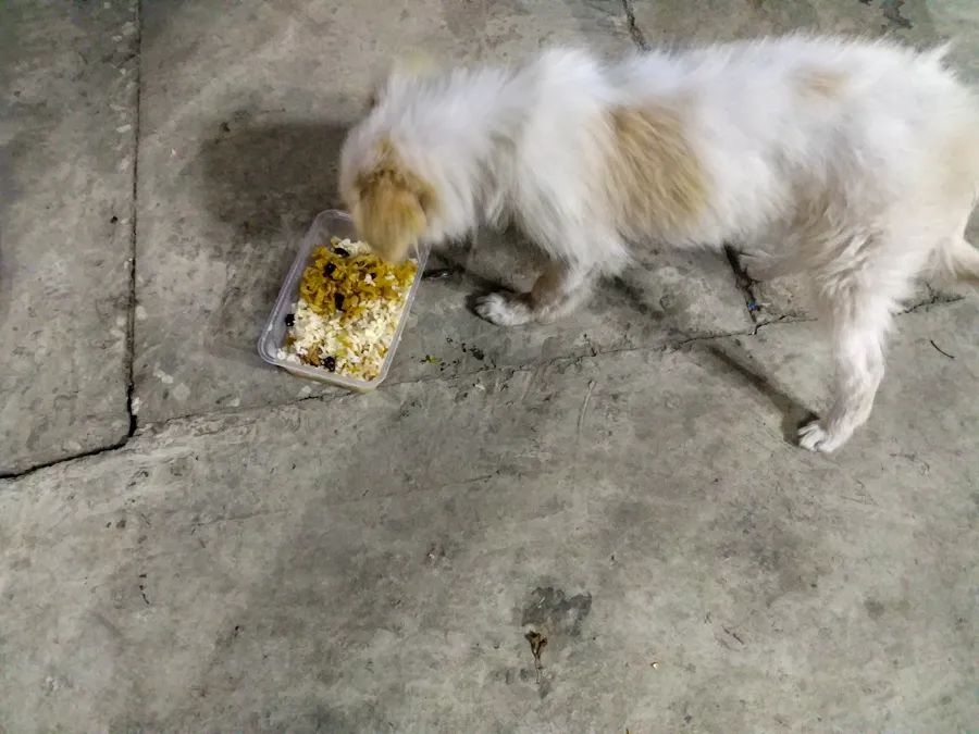 旅行是为了感受不一样的人生百态,旅行最好的状态就是不问归期