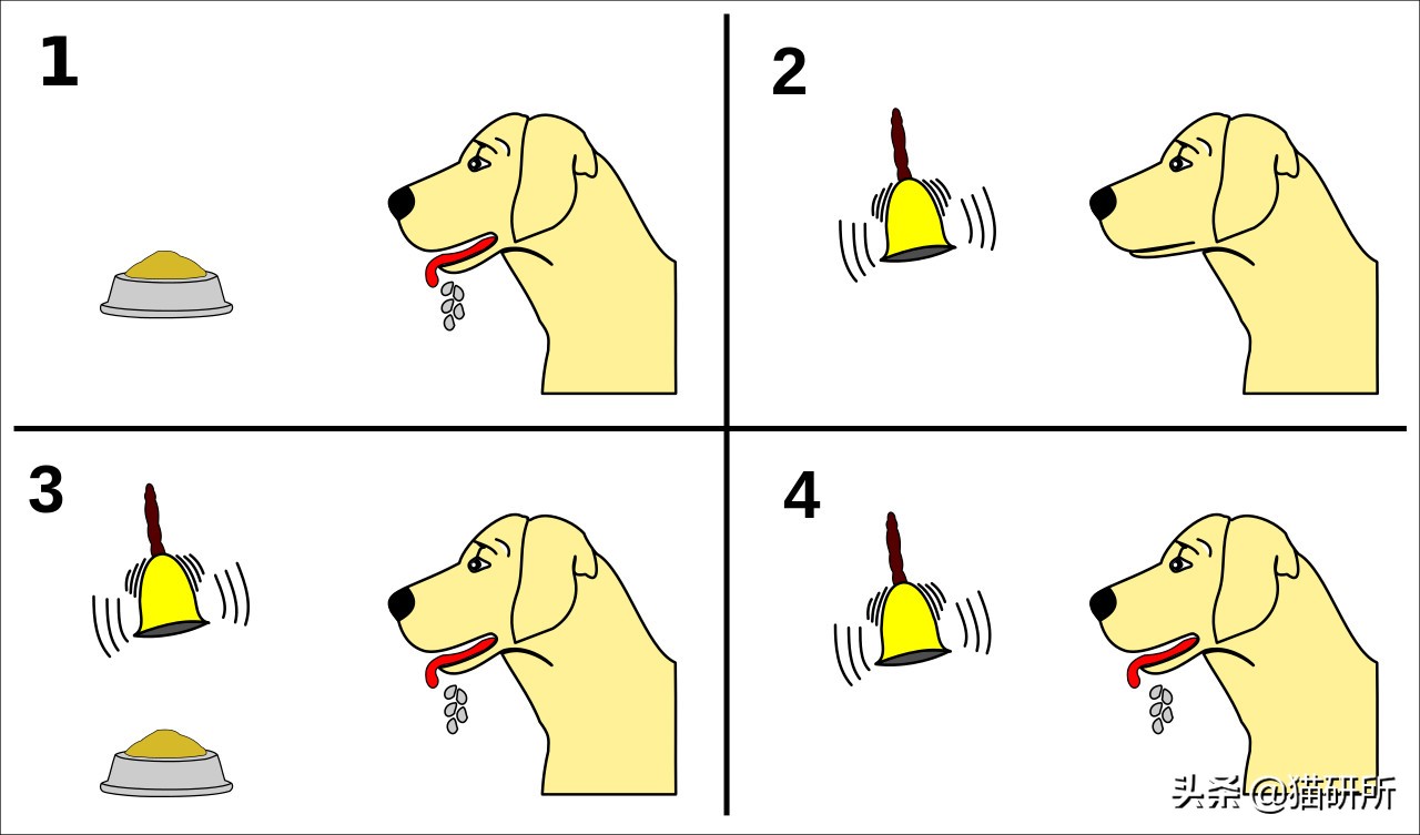 应该如何引导猫咪进航空箱,怎样让猫咪不害怕主人