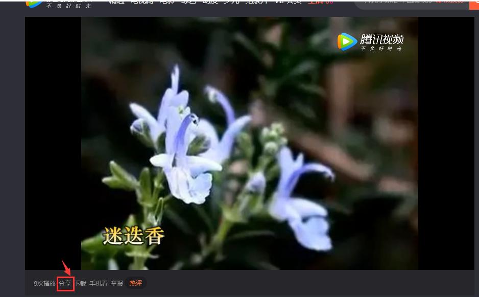 怎么用照片制作视频发微信朋友圈,照片制作的视频怎么发给微信好友