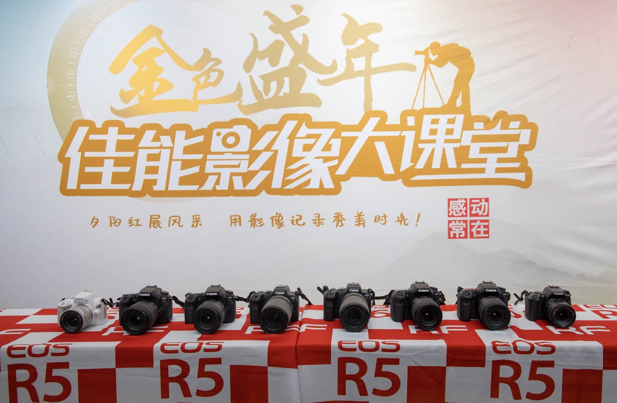 閲戣壊鐩涘勾鎽勫奖姣旇禌,閲戣壊鐩涘勾