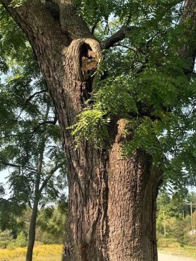 品味人生家居服,品味人生家具图片