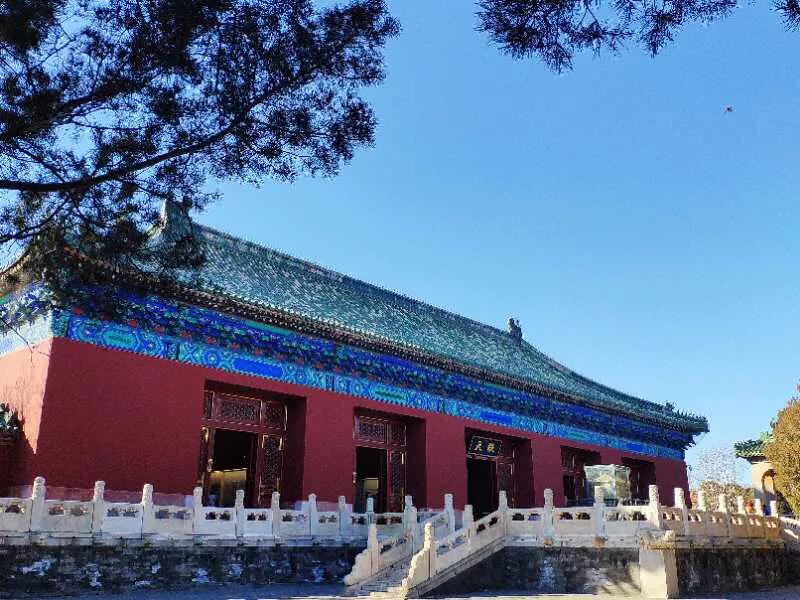 手拍世界,手拍世界近期作品