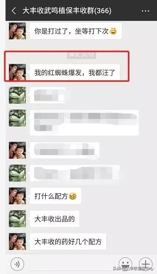 红蜘蛛锈壁虱大爆发该怎么用药,对红蜘蛛和锈壁虱有用的杀螨剂