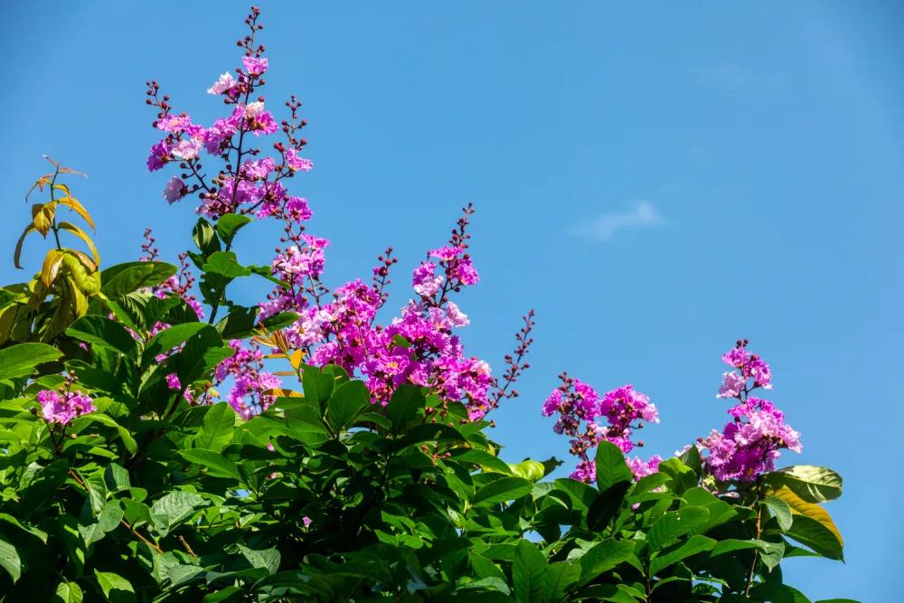 孩子被蚊子咬了怎么好得快,孩子被蚊子咬下怎么才能快速解决
