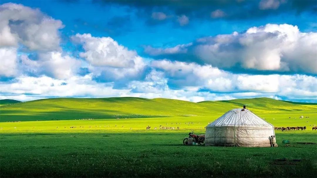 创始人笔记6|青年律师，你该如何选择律所呢？