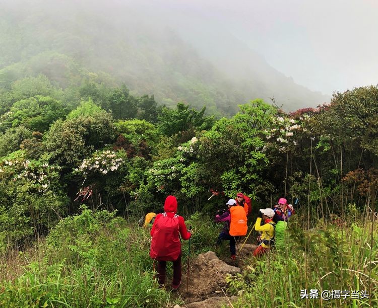 初夏游江西：历经晴、雨、雾，穿越武功山