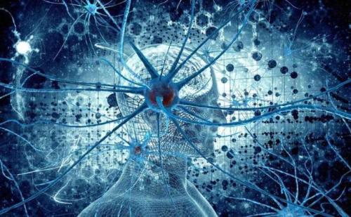 七个超奇葩的冷知识大全,这些奇葩冷知识每个都和你有关