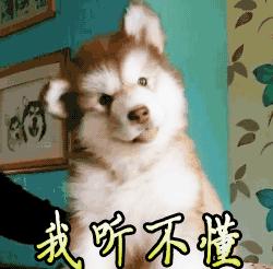 新耳机怎么煲机最简单的方法,耳机煲机如何才能达到最好效果