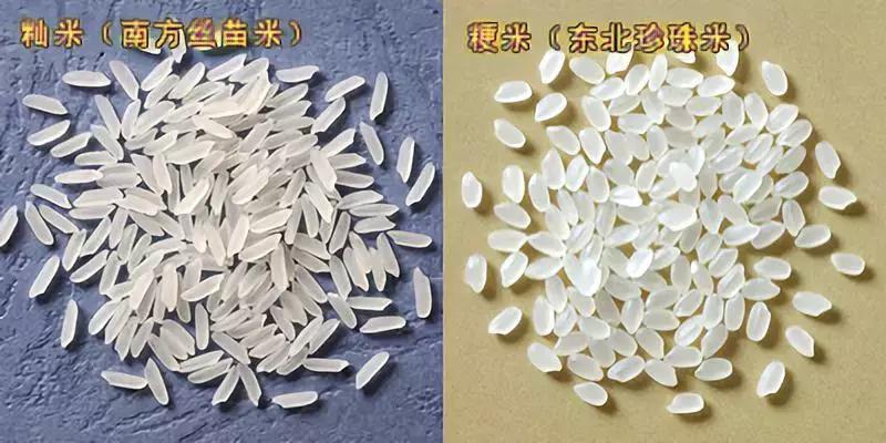 加拿大几十个牌子的米该怎么买？看完这篇就不用发愁了！