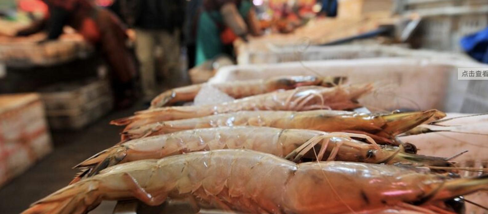 拥有中国最美海岸线的小县城,浙江四个冷门海岛