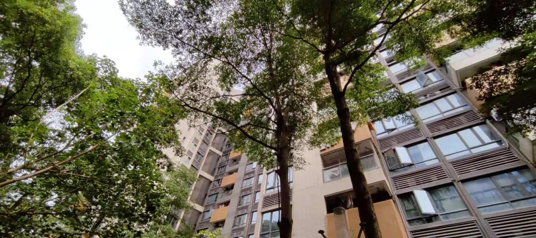 广州万科金域蓝湾与御金沙哪个好,御金沙和金域蓝湾哪个好