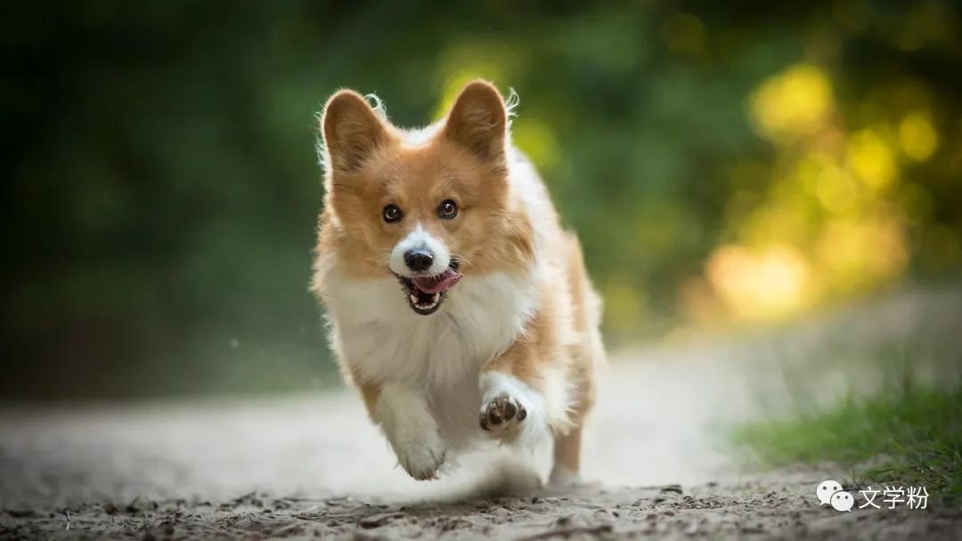 黄金文案朋友圈吸引人,项链文案朋友圈吸引人