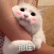 养猫包包,养猫保健药