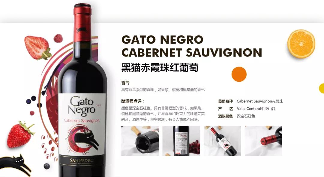 全球No.6葡萄酒品牌-黑猫GatoNegro如何引领葡萄酒时尚风潮?