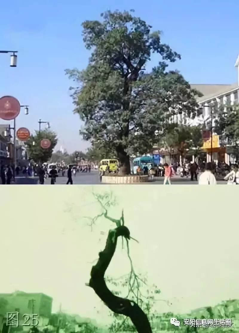 安阳老照片大全,安阳老照片大全集