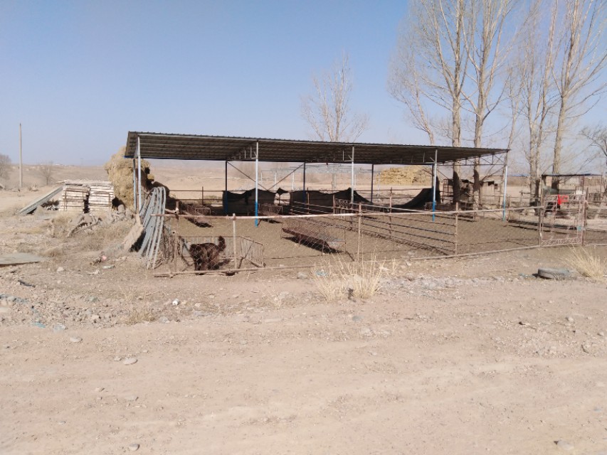 3万元能做什么养殖,三万元能投资养殖什么