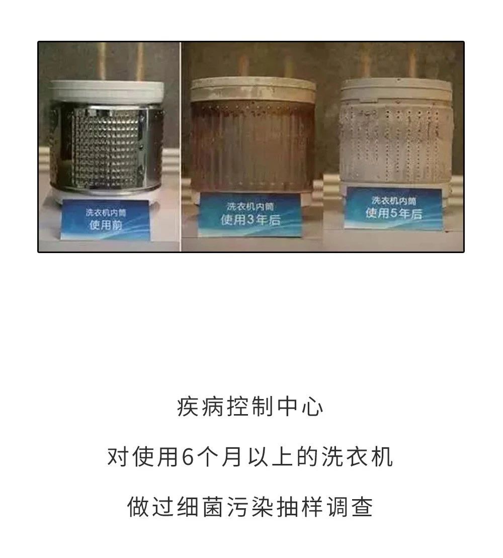 热水器水流出有虫子怎么办,饮水机水管里有小白虫