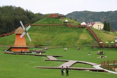 澳洲奶粉哪几款被查出问题,澳洲奶粉为什么都是乳固体