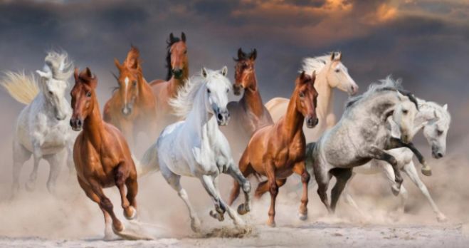 为何汉晋贵族不骑马？不只因为马具不完善，而是他们穿着开裆裤