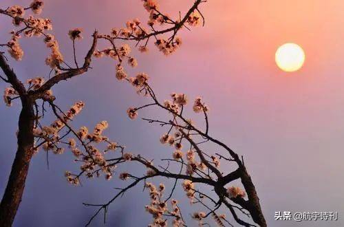 薄荷淡香原创诗歌（08060期）