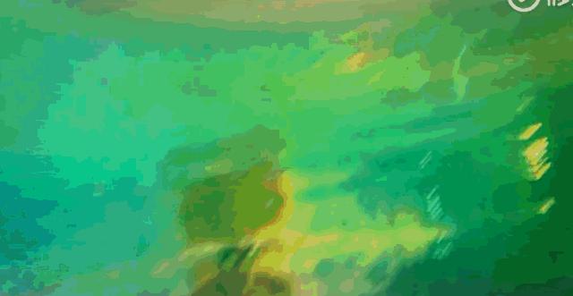 有人问罗云熙保持年轻的秘诀,少年气怎么培养