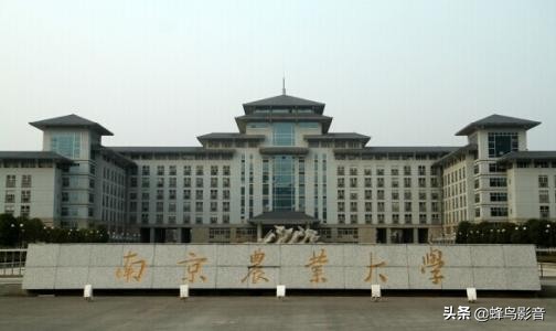 南京农业大学是985或211大学吗,南京农业大学211