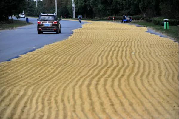 江西有什么比较出名的人么,江西都有哪里的人