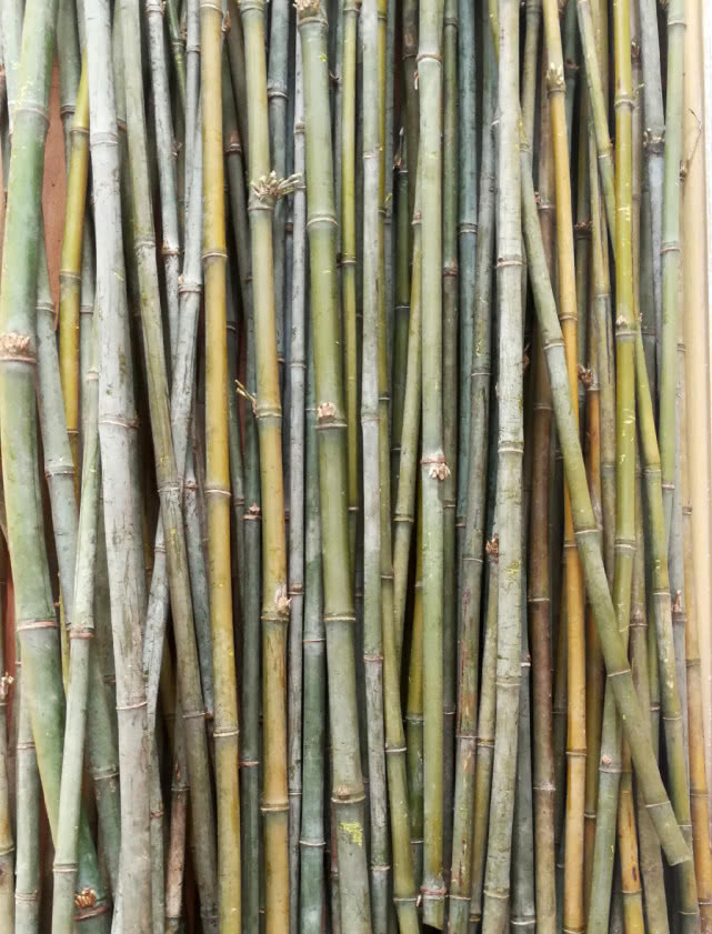 用竹子怎么做钓100斤的草鱼鱼竿,如何用竹子制作路亚鱼竿教程视频