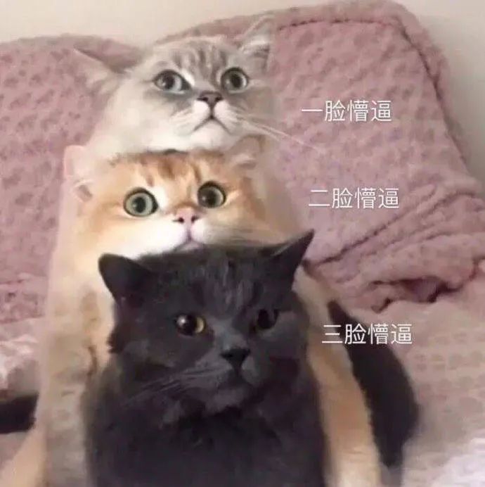 适合秋冬护手霜推荐第一名,推荐一款护手霜冬季的