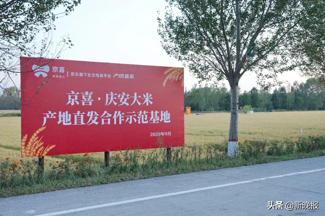 京东打通线上线下助力乡村振兴,京东助力乡村振兴和政府如何合作