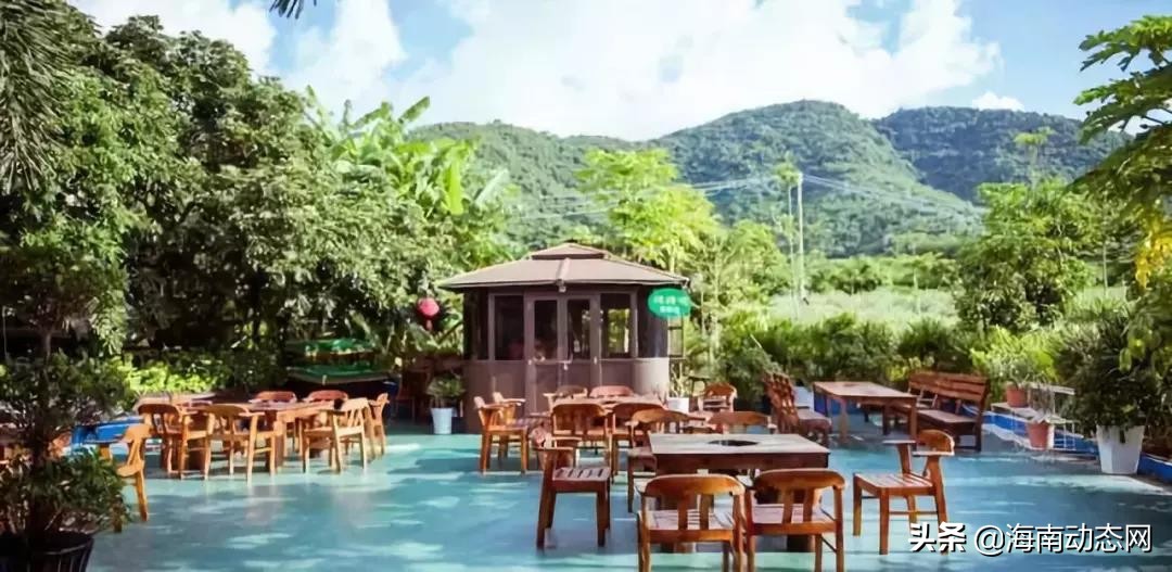 趁着春光出游海南,趁着春光明媚去旅行