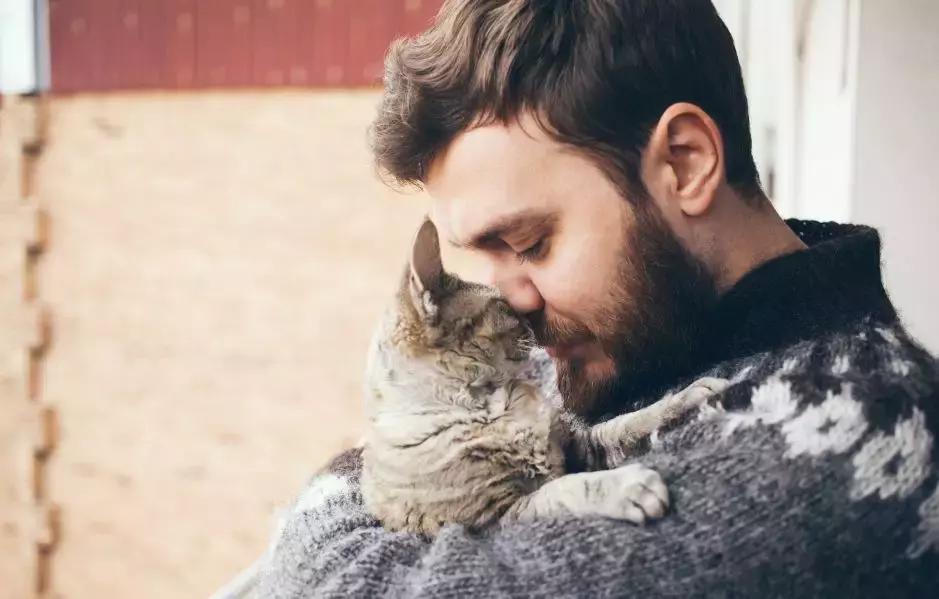 大四学生虐猫事件真相,中国留学生美国虐待案后续