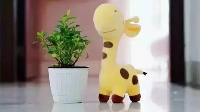 你的微信名暴露了你的层次很准,你的微信名暴露你的阶层