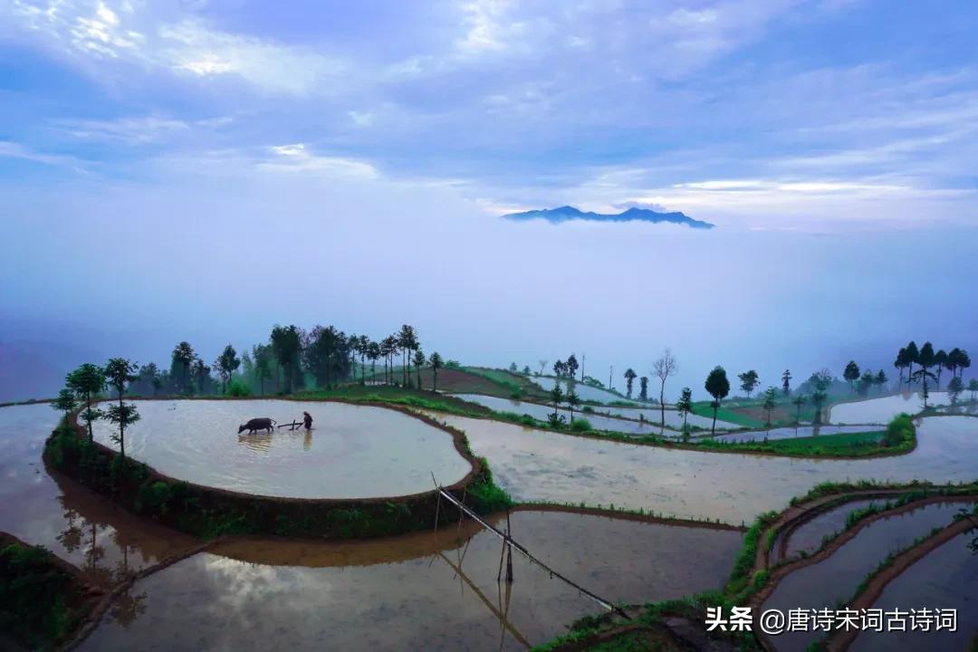 老翁七十犹强健，没膝春泥夜叱牛